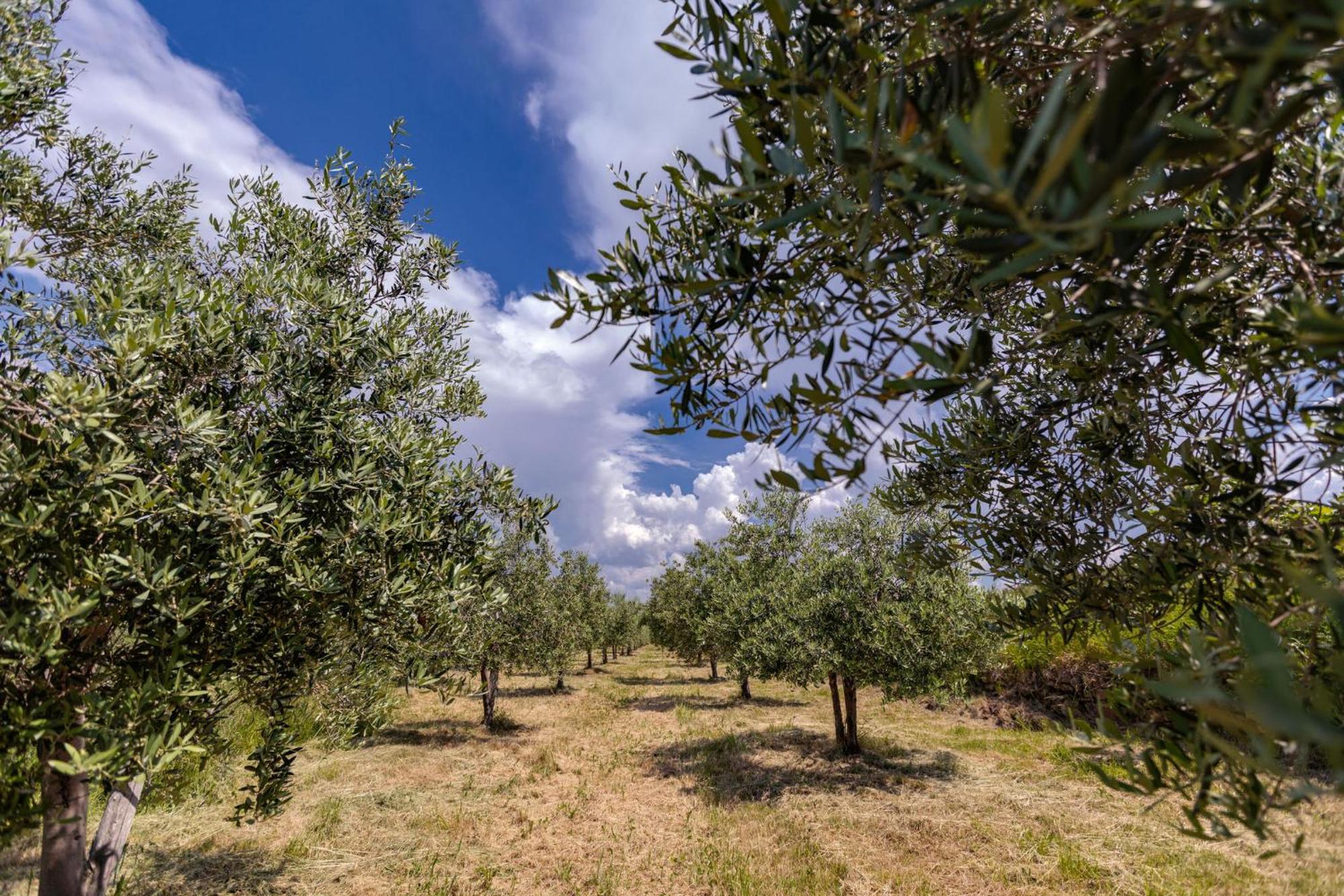 Apartma Valentina Appartement Pobegi Buitenkant foto